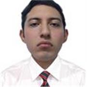 Profesor Matemáticas y/o Física en línea (Secundaria-Preparatoria)