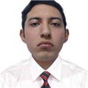 Profesor Matemáticas y/o Física en línea (Secundaria-Preparatoria)