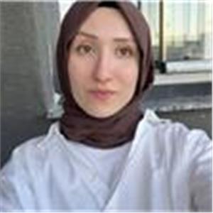 Feyza Aldemir