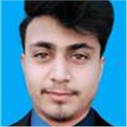 Providing Affordable Computer Science Lectures by a Field Professional