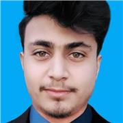 Providing Affordable Computer Science Lectures by a Field Professional