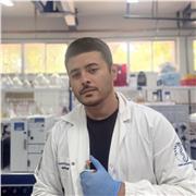 Aulas de Inglês presenciais ou online Aulas de Inglês com experiência internacional e formação em Yale University