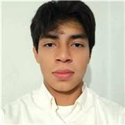 Tutor especializado en enseñanza de ingles enfocado en usos en la vida diaria