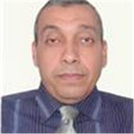 Ahmed Elamir Radwan