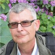 Experto en Excel imparte clases online, Optimiza tus conocimientos