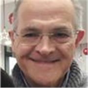 Ingegnere offre lezioni di matematica a studenti scuole secondarie di I e II grado