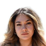 I am a Spanish and Romanian speaker. I have a Tefl certificate and a degree in translating and interpreting