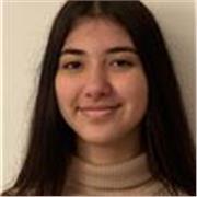 Politics Tutor for A-Level students ( 16-18)