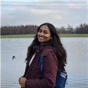 Psychology tutor with a strong background in Psychology. Has experience working with children with neuro-developmental disorders