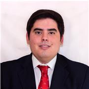 Profesor de matemáticas para los niveles de ESO, bachillerato y universidad