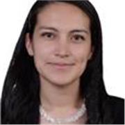 Profesor de matemáticas básicas y universitarias