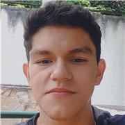 Clases particulares y tutoría dinámica de inglés