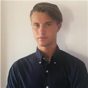 Fornisco ripetizioni a studenti di scuola superiore ed università