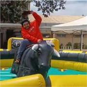 Domina el Inglés con Clases Personalizadas Online ¿Listo/a para Hablar con Confianza?