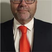 Profesor de economía, comercio, adminstrativo en todos los niveles