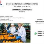 Profesor de Oposiciones a Fuerzas y cuerpos de seguridad. Yo imparto la materia juridica, clases en Valencia.