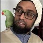 Unqualified native English teacher offering private English lessons online