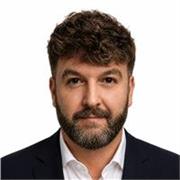 Profesor de español para toda las edades y niveles. 