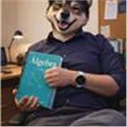 Cualquier nivel de algebra (basico-intermedio, avanzado en nivel pre universitario)