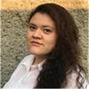 Clases en línea de Marketing para principiantes y avanzados