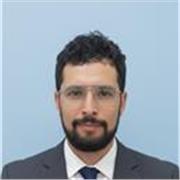 Maestro de Español en linea