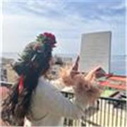 Sei alla ricerca di un insegnante privato serio e competente? Contattami e raccontami quali sono