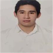 Profesor de cualquier rama de ciencias matemáticas y físicas hasta nivel de bachillerato