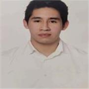 Profesor de cualquier rama de ciencias matemáticas y físicas hasta nivel de bachillerato