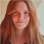 Offro ripetizioni in Storia in presenza e online per ragazzi di tutte le età