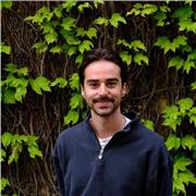 Arabic (MSA and Egyptian) and Spanish Tutor | Recent Oxford MSc Graduate in Modern Middle Eastern Studies