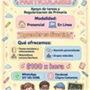 Maestra de educación básica, con experiencia en clases virtuales y presenciales
