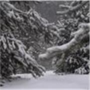 Studentessa di 5° liceo scientifico offre ripetizioni online di matematica, italiano, scienze e fisica per medie e biennio. 