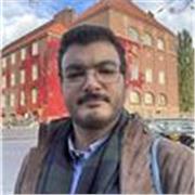 Profesor de inglés y profesor de ciencias políticas y sociología apto para todos los niveles y grupos 