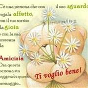 Insegno inglese per scuole medie