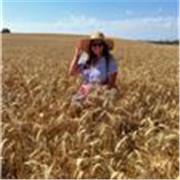 Cours personnalisés d’italien avec diplômée en médiation linguistique