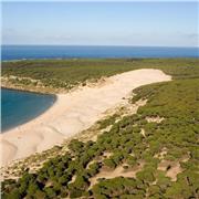 Doy clases del Programa de Cálculo de presupuestos PRESTO, Versiones 8/10 hasta 2019. Mediciones, Certificaciones, Control de Obra, Informes