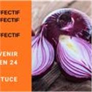 WHATSAPP :+ VRAI MARABOUT DU MONDE- LE PLUS GRAND MARABOUT DU BÉNIN