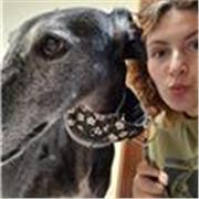 Puedo dar clase de español a extranjeros, en cualquier lugar de salamanca, incluyendo mi casa. Tengo experiencia haciéndolo. 