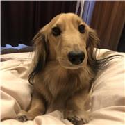 Very passionate about chemistry, very capable to teach