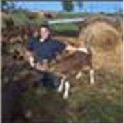 Soy Lourdes, estudiante avanzada de Medicina Veterinaria (a una materia de recibirme) y docente de Química en nivel secundario