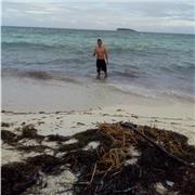 Clases particulares de natación