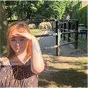Native English Speaker looking to teach English as a foreign language