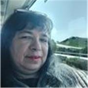 Profesor de inglés en todos los niveles conversacional. 