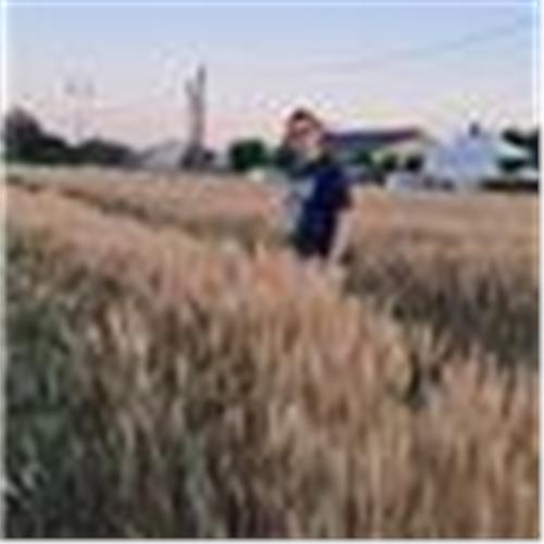user photo
