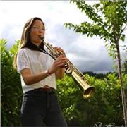 Je propose des cours particulier de saxophone à des débutants et intermédiaires sur embrun pour du présentiel, et en visio