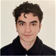 Profesor de matemáticas, inglés, alemán con bachillerato internacional