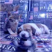 Profesor de Matemáticas en general, y Cálculo de manera sencilla y práctica 🤓