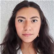 Curso de alemán desde el nivel A1 al nivel B1