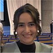 Professora de matemàtiques nivell avançat