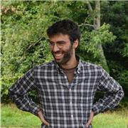 Docente di italiano e latino di ruolo impartisce lezioni di latino e italiano (anche stranieri) a studenti delle superiori e universitari in presenza